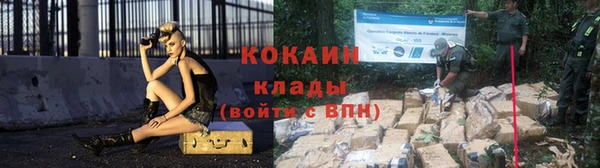 дмт Заводоуковск