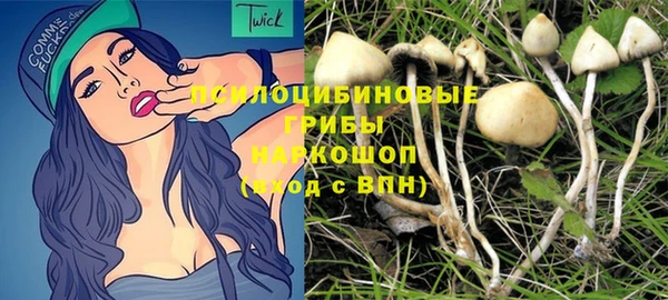 дмт Заводоуковск