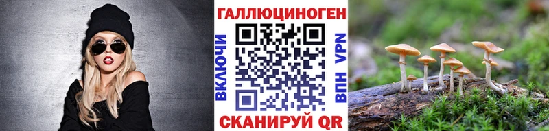 Купить  Ярцево  Галлюциногенные грибы Magic Shrooms 